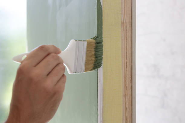 Best Attic Mold Removal  in Cedaredge, CO