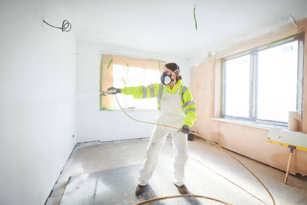 Best Mold Remediation for Healthcare Facilities  in Cedaredge, CO
