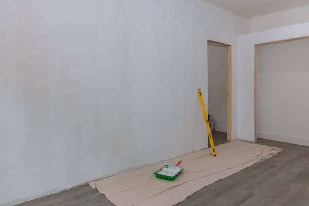 Best Mold Damage Restoration  in Cedaredge, CO
