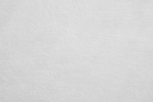Professional Mold Removal in Cedaredge, CO
