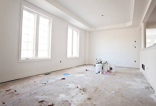 Best Attic Mold Removal  in Cedaredge, CO