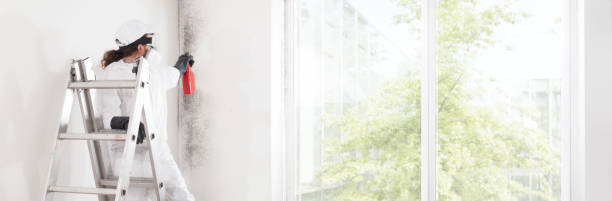 Best Indoor Air Quality Assessment  in Cedaredge, CO